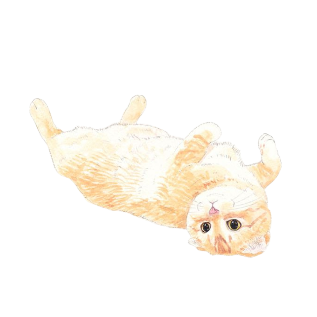 Clickable Image Button
